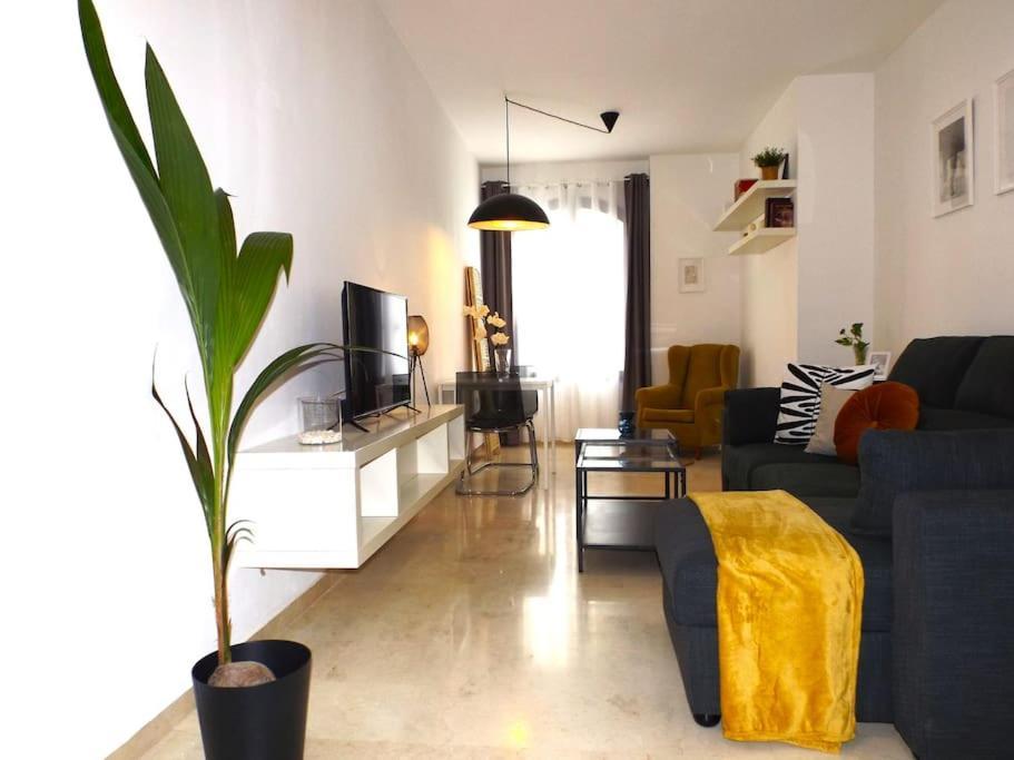 Apartamento Suite Centrico B Malaga Ngoại thất bức ảnh
